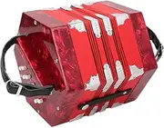 Piano Accordion 30 Key, Professional 30 Buttons Accordion Concertina Musical Instrument with Carrying Bag, Excellent Children and Friends