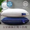 【Hilton 希爾頓】五星級純棉立體銀離子抑菌獨立筒枕/兩色任選(B0065&-N)