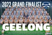 2022 GEELONG CATS TEAM PHOTO,AFL FOOTBALL PREMIERS CHAMPIONS,Geelong cats 2