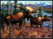 Deer Elk Moose 3 - Counted Cross Stitch Patterns - Color & BW Symbols Charts