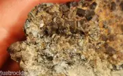 EPIDOTE & GARNET SPECIMEN 7.2cm 184g Natural Healing Crystal Cluster Gift