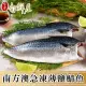【金澤旬鮮屋】南方澳急凍薄鹽鯖魚20片(115g/片)
