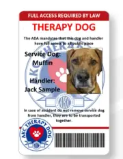 THERAPY DOG handler ID card printed in vivid full color mailed out same day