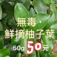 在飛比找蝦皮購物優惠-無毒農｜新鮮柚子葉 檸檬葉50g 可烘乾🌿 可餵食蟲寶 柚子