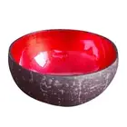 Coconut Shell Bowls Multicolor Durable Household Salad Noodle Rice Bowls Natural