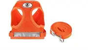 4M Pets Cats and Dogs Vest Harnesses with Leash Reflective,Dog Vest Harness, Reflective & Adjustable Harness for Small to Medium Dogs (Orange, M)