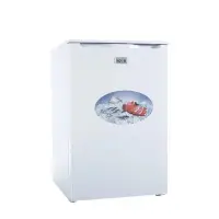 在飛比找Yahoo!奇摩拍賣優惠-Kolin歌林/90公斤直立式冷凍櫃/KR-SE110SFL