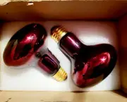 2 Reptile Red Heat Lamp Bulb 150 W Infrared Basking Spot Light