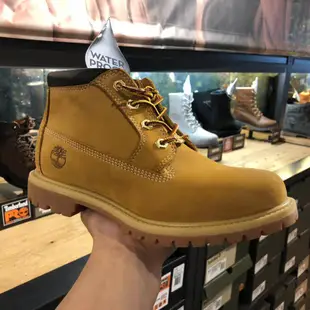 Timberland 男鞋 大黃靴 添柏嵐 女鞋 黃色 黑色 踢不爛 防水經典 戶外登山鞋 馬丁靴 工裝靴 中筒 休閒靴