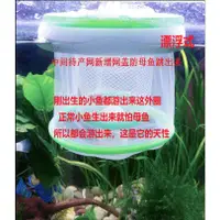 在飛比找蝦皮購物優惠-漂浮 魚苗 孵化網 密網 魚缸隔離網 小魚孵化器 隔離盒 鬥