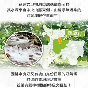 愛上生鮮 花蓮鶴岡老欉文旦柚[中秋節預購x產地直送]5斤/箱(1/2/3/4箱)柚子 鮮果 水果 廠商直送