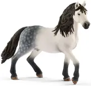 Horse Club (Andalusian Stallion)