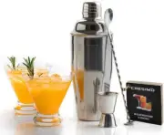 Cocktail Shaker Set Bartender Kit with 2 Stemless Martini Glasses- 24 oz