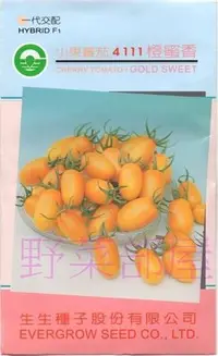 在飛比找Yahoo!奇摩拍賣優惠-【野菜部屋~】L35 橙蜜香小蕃茄種子40顆 , 糖度高 ,