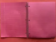 VINTAGE 90s Riverside Gel-Ink Paper Spiral Notebook PINK College Rule Acid Free