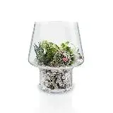 在飛比找遠傳friDay購物優惠-丹麥Eva Solo｜玻璃花瓶-15cm