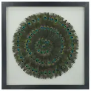 Peacock Feather Shadow Box Wall Décor