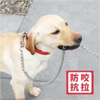 在飛比找樂天市場購物網優惠-狗牽繩 狗鍊 狗鏈子大型犬中型犬小型犬鐵鏈項圈牽引繩 防咬狗