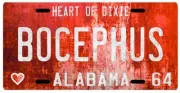 Hank Williams Jr. Bocephus 1964 Alabama Vintage Replica License plate