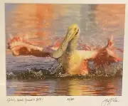 Geoff Coe Wildlife Photographer Original Photograph 2012 Spoonbill