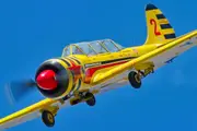 Extreme Aerobatics Flight in a YAK 52 - Rutherford