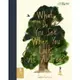 What Do You See When You Look At a Tree?(精裝)/Emma Carlisle【三民網路書店】