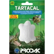PRODAC TURTLE CALCIUM BLOCK 15g For Fish Shrimp Snail Tank Aquarium