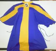 PRAISE TUNIC TABARD LITURGICAL Pluml/Gold plus sizes Ladies Church Dance