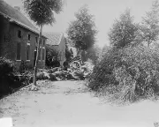 Barricade and dead cavalry horses Haelen Belgium 1914 WW1 8x10 World War I Photo