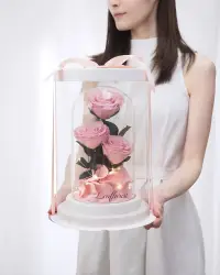 在飛比找友和YOHO優惠-3朵玫瑰保鮮花 (永生花) 玻璃燈座 禮盒裝 - 粉色
