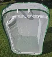 Collapsible Butterfly Moths Insects Plants Cage Mesh Habitat 36" Tall New