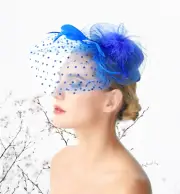 Royal Blue Feather Mesh Fascinator Hat Woman Headpiece Hair Clip Mini Top Party