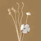 6 pcs Cotton Flower Fragrance Diffuser Rattan Reed Sticks Bathrooms Aroma Decor