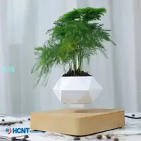 在飛比找樂天市場購物網優惠-免運�空中創意擺件 磁浮植物 漂浮盆栽 懸浮仿木紋盆栽植物盆