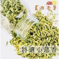 在飛比找蝦皮購物優惠-【青田本草】小茴香 甜茴香  茴香籽 100 g