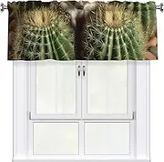 LHBWCVN Hedgehogs Cactus Valances for Windows, Rod Pocket Window Treatment Drapes Farmhouse Kitchen Curtains Short Blackout Window Curtains for Living Room Bedroom Decor 54x18 Inch