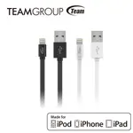 TEAM十銓科技 APPLE原廠認證充電/傳輸線 TWC08