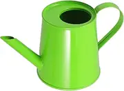 TOGEVAL Mini Iron Watering Can Decor Lightweight Green Watering Pot for Home Desktop Photo Shoot Indoor Plants and Unique Decor Accent for Photography and