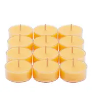 Citrus Peel & Sage Universal Tealight Candles