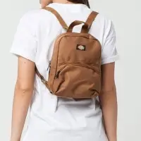 在飛比找蝦皮購物優惠-近全新✨Dickies Mini Backpack 迷你 小