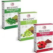 Organic Neem, Amla, Hibiscus Flower Powder Combo-300g (100g x 3 Pack)|Neem Leaf Powder, Amla/Gooseberry Powder, Hibiscus Powder for Face, Skin Whitening| Hair Conditioning, Hair Growth