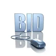 Online Auction Website Bid Now - How To - Start Up BUSINESS PLAN New!