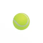 【SUCCESS 成功】一般網球 /顆 4311