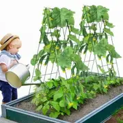 A-Frame Cucumber Trellis 39" x 32" Foldable Metal Garden Trellis