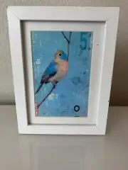 IKEA Kort art cards birds Kareem Rizk with frame paint Picture animal 4" x 6"