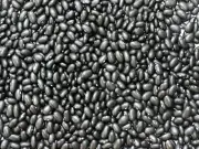4 LBS 100%ALL Natural,Black Beans,Black Kidney Beans,US Seller