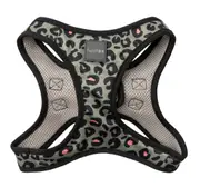 Savanna XX-Small Step-In Dog Harness by FuzzYard - 34 to 36cm Neck & 39 to 41cm Chest
