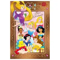 在飛比找蝦皮商城優惠-Disney Princess公主(6)拼圖300片