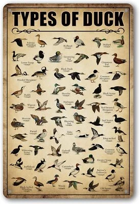 Type Of Duck Tin Sign Hunting Decor Mallard Ducks Knowledge Metal Signs...