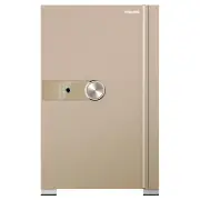 Philips Smart Safe with Telescopic Handle - 70 KG (Gold) SBX202-7C0-GOLD